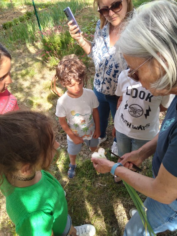 photo de l'actualité