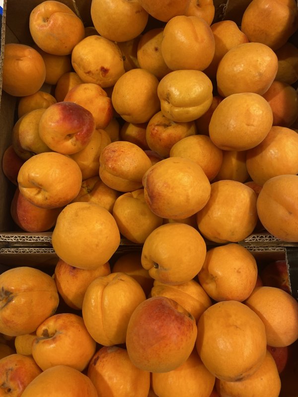 photo de l'actualité