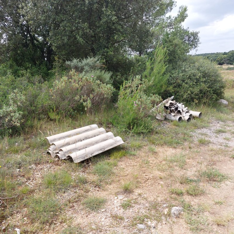 photo de l'actualité