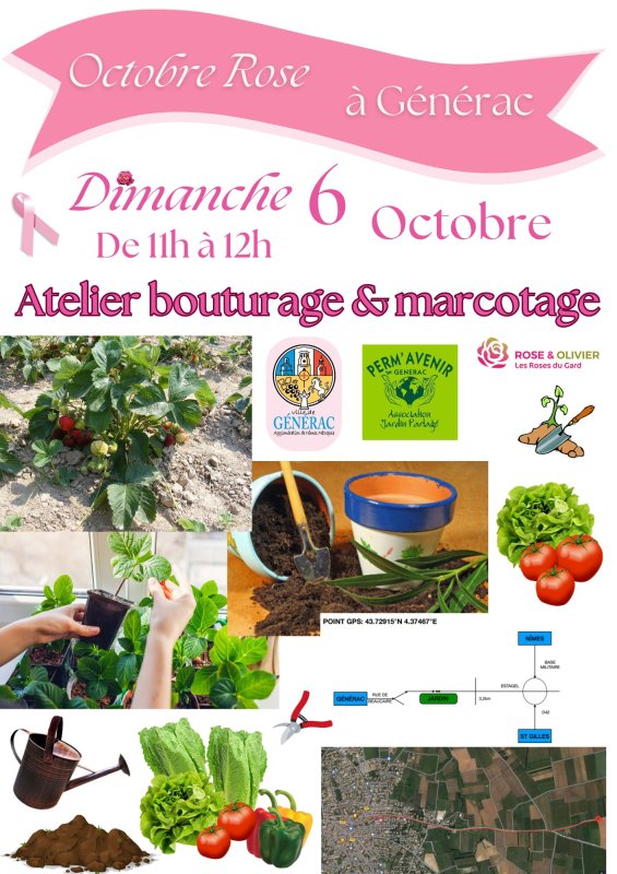 photo de l'actualité