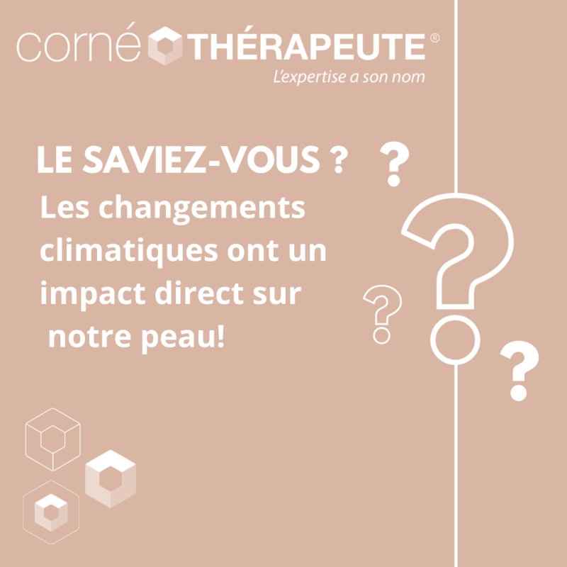 photo de l'actualité