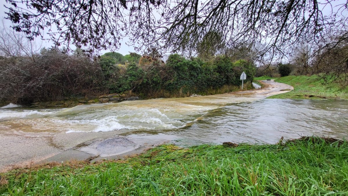 photo de l'actualité