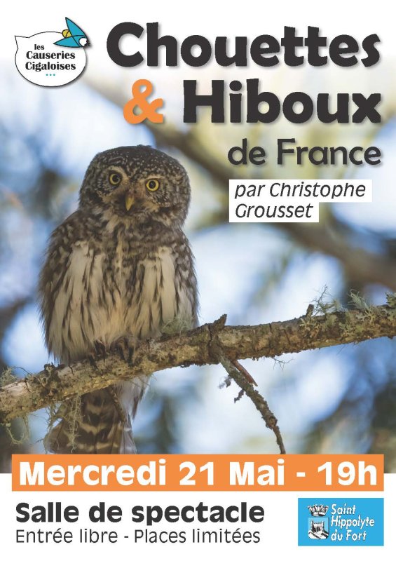 photo de l'actualité