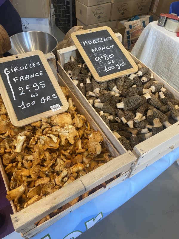 photo de l'actualité