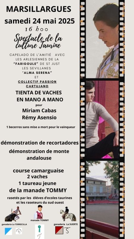 photo de l'actualité