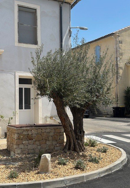 photo de l'actualité