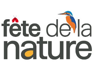 photo de l'actualité