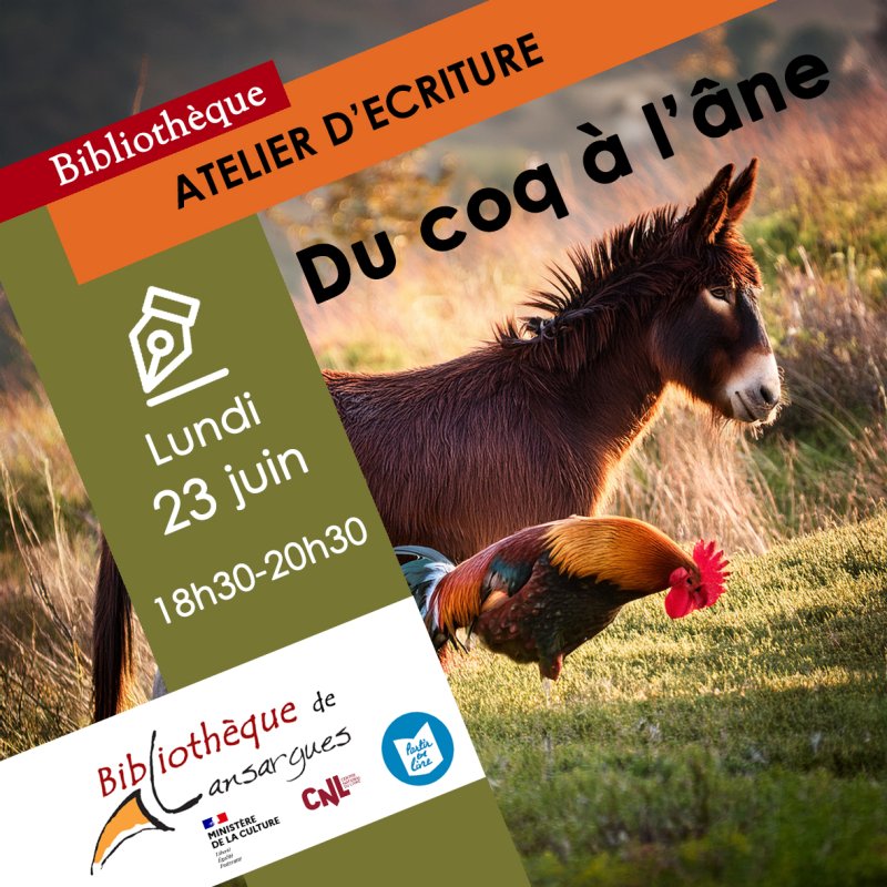 photo de l'actualité
