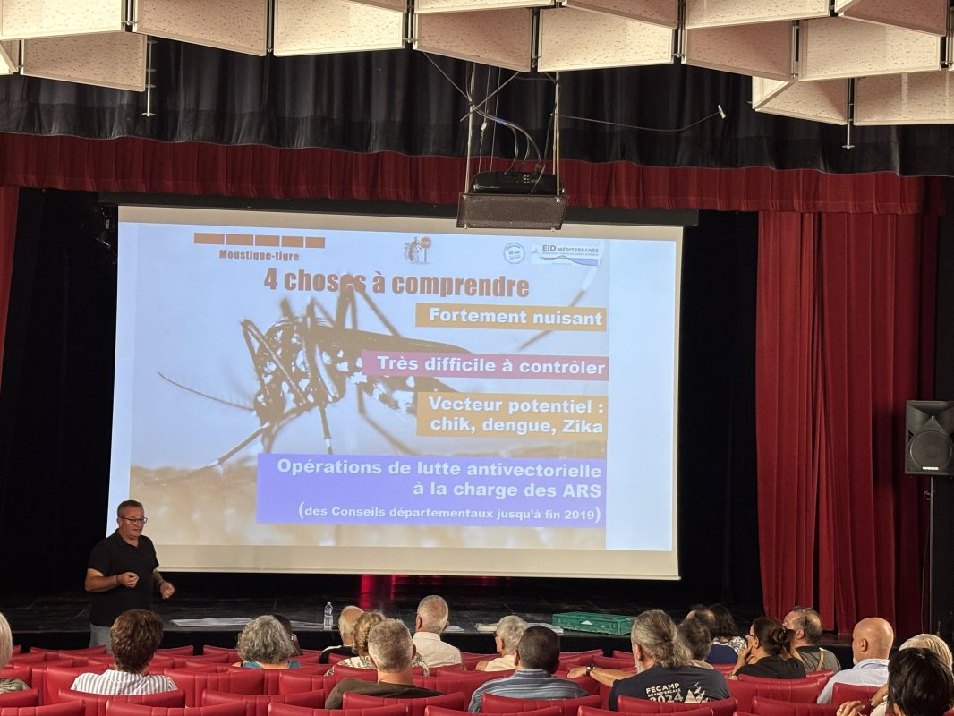photo de l'actualité