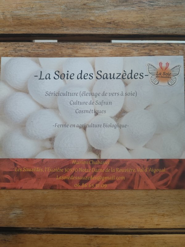 photo de l'actualité