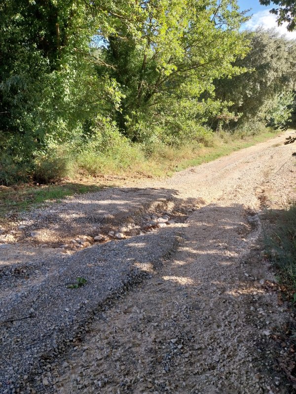 photo de l'actualité