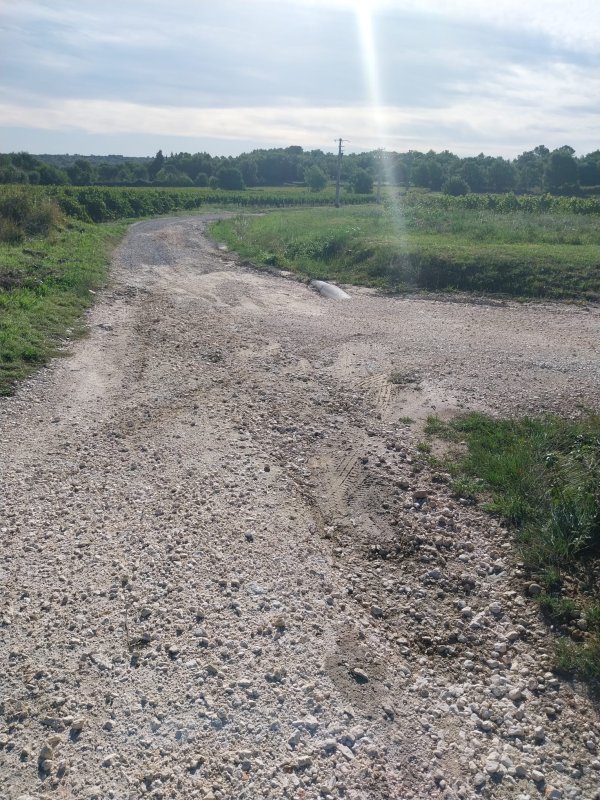 photo de l'actualité