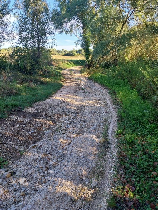 photo de l'actualité