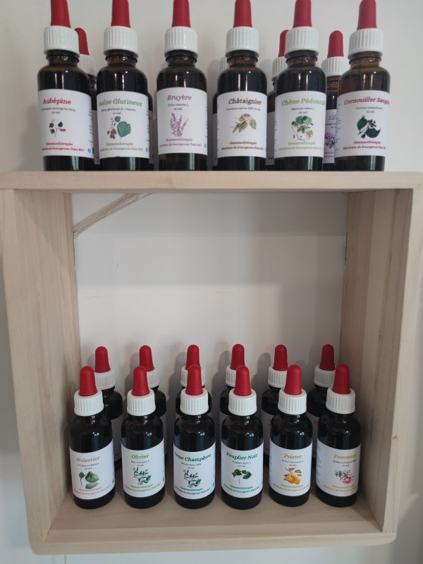 photo de l'actualité