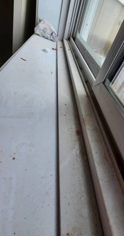 photo de l'actualité