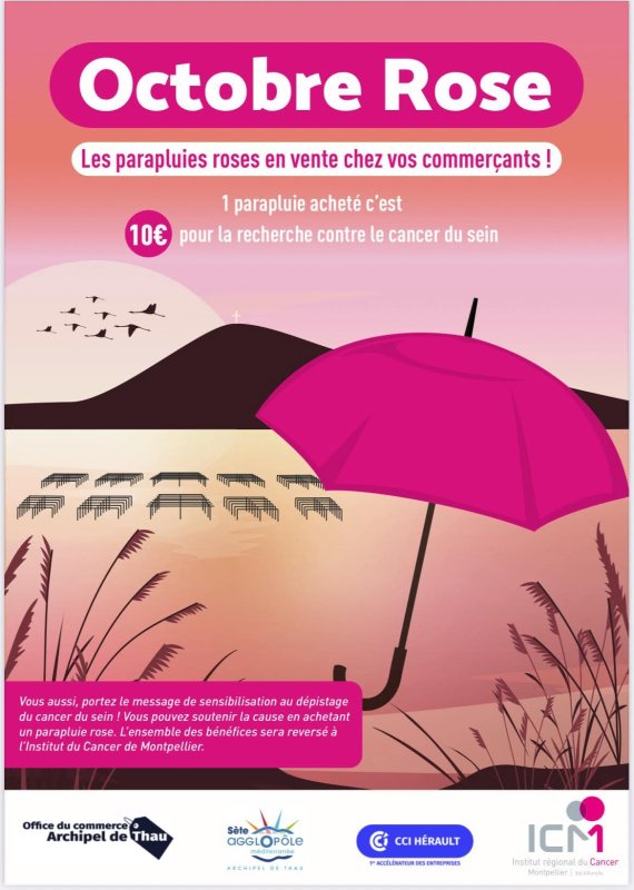 photo de l'actualité