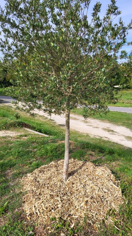 photo de l'actualité