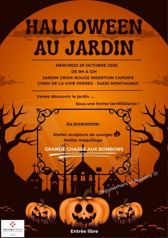 photo de l'actualité