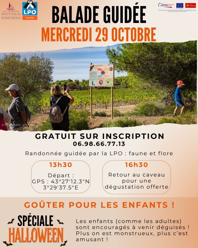 photo de l'actualité