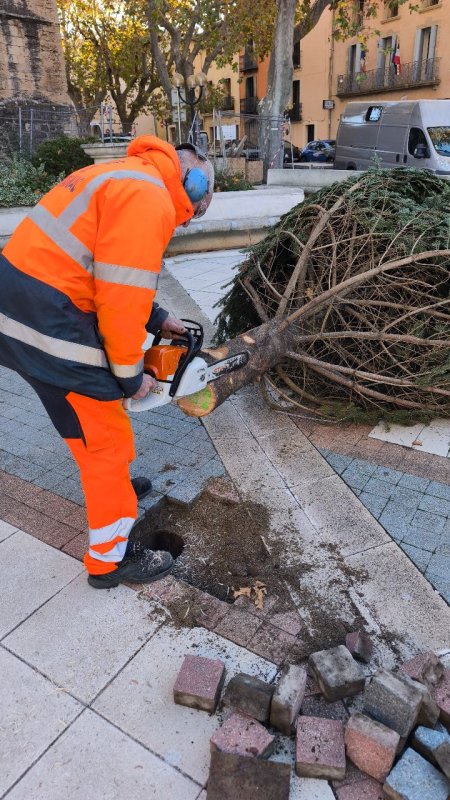 photo de l'actualité