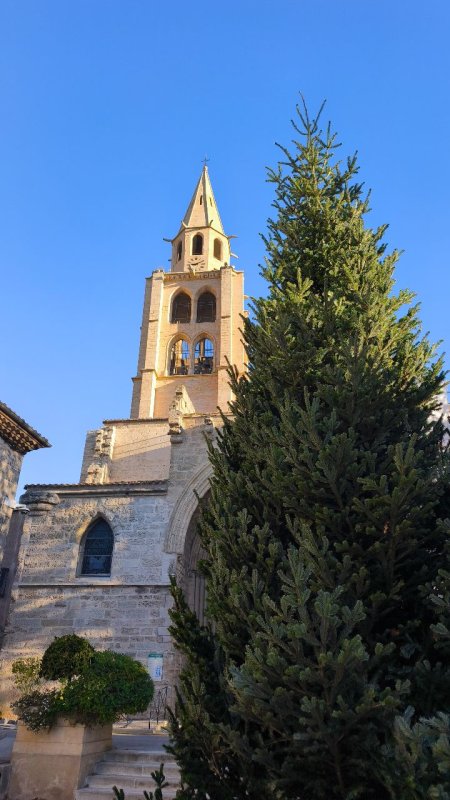 photo de l'actualité