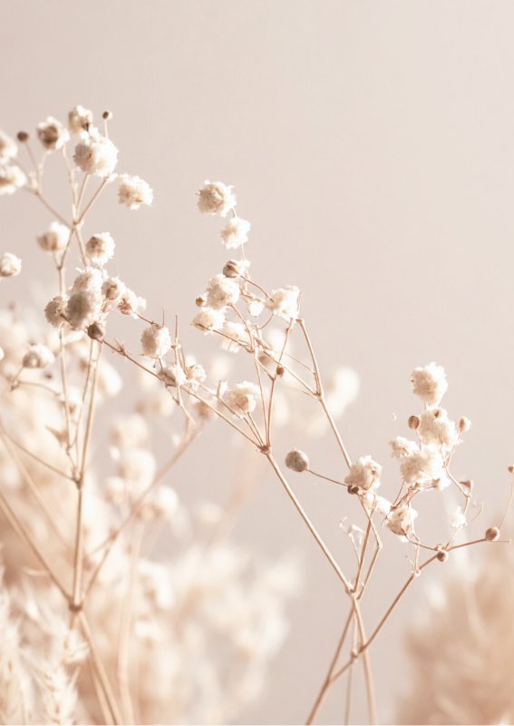 photo de l'actualité