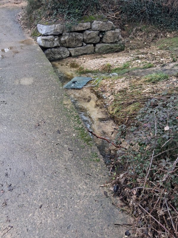 photo de l'actualité