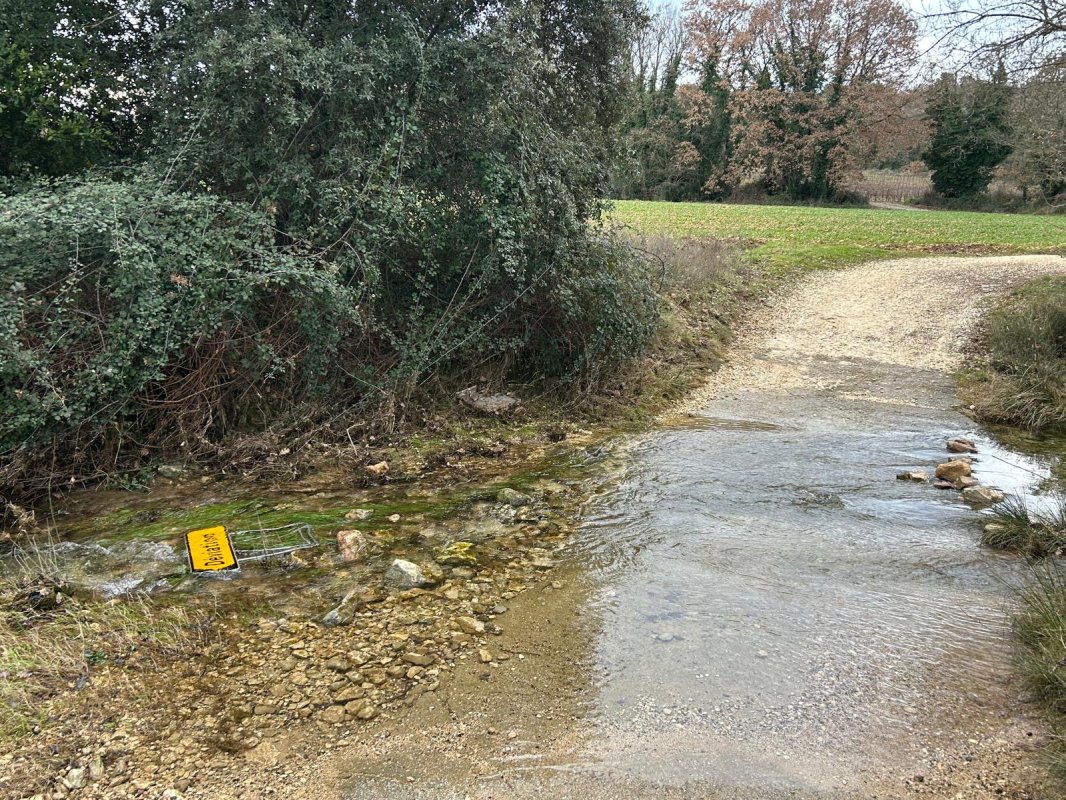 photo de l'actualité