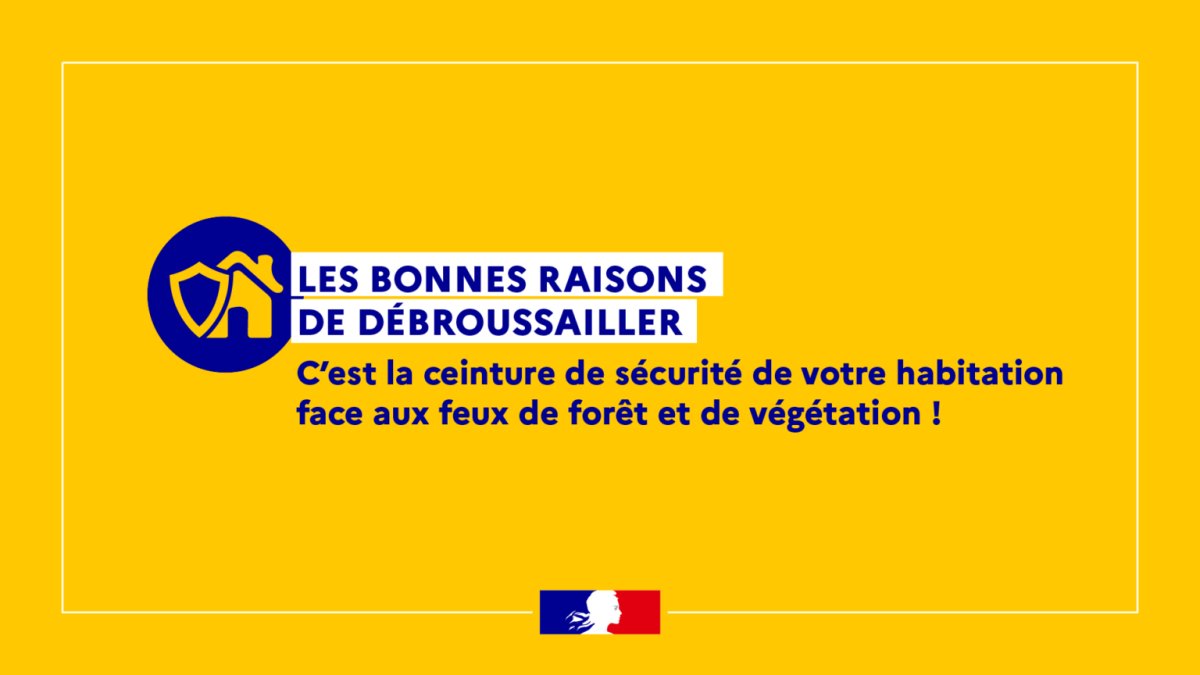 photo de l'actualité