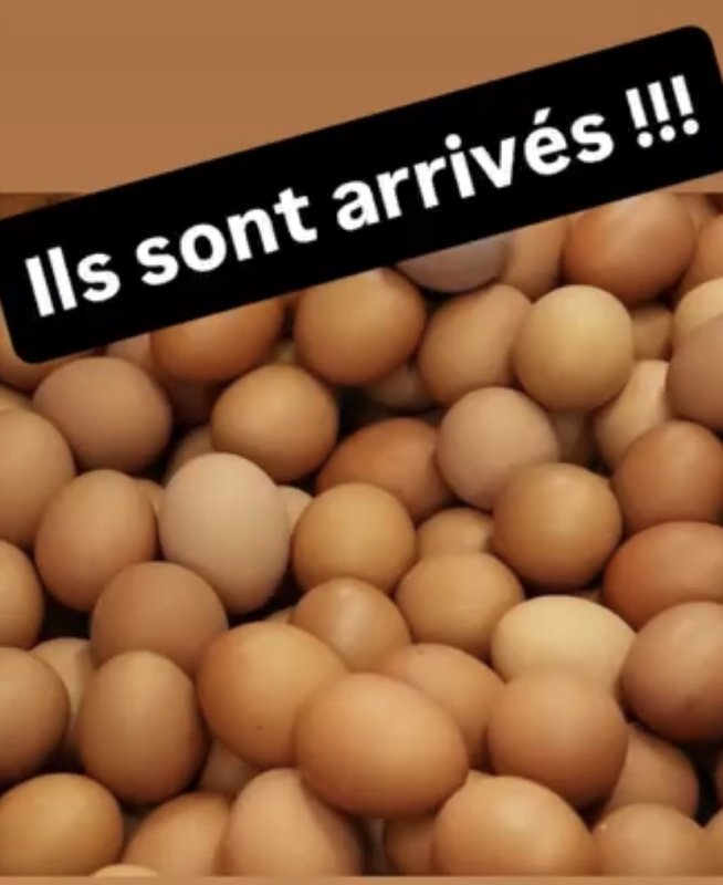 photo de l'actualité