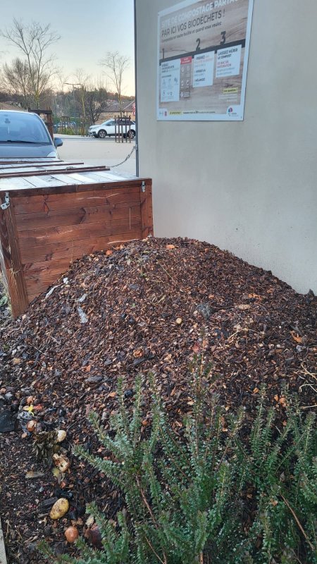 photo de l'actualité