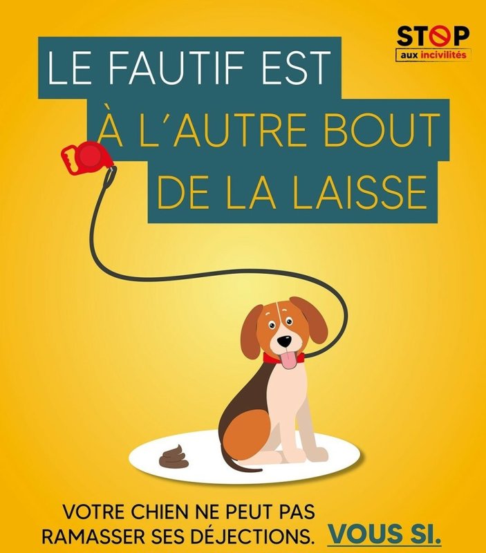 photo de l'actualité