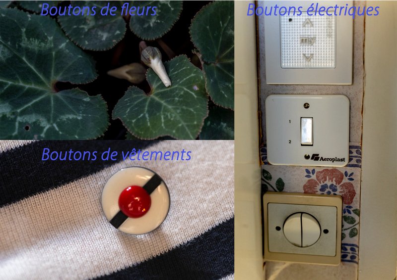 photo de l'actualité