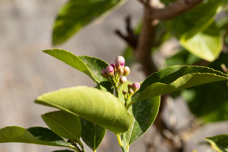 photo de l'actualité