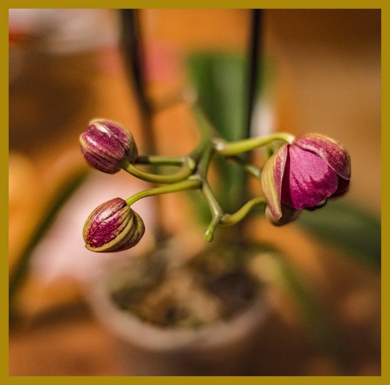 photo de l'actualité