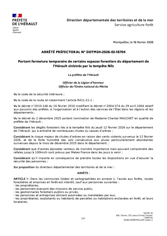 photo de l'actualité