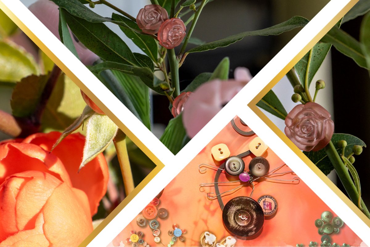 photo de l'actualité