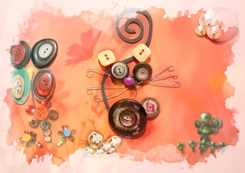 photo de l'actualité