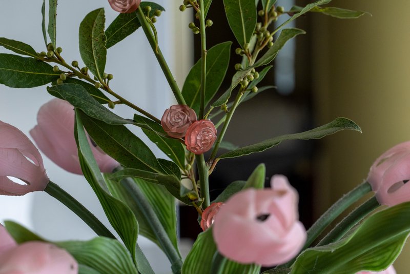 photo de l'actualité