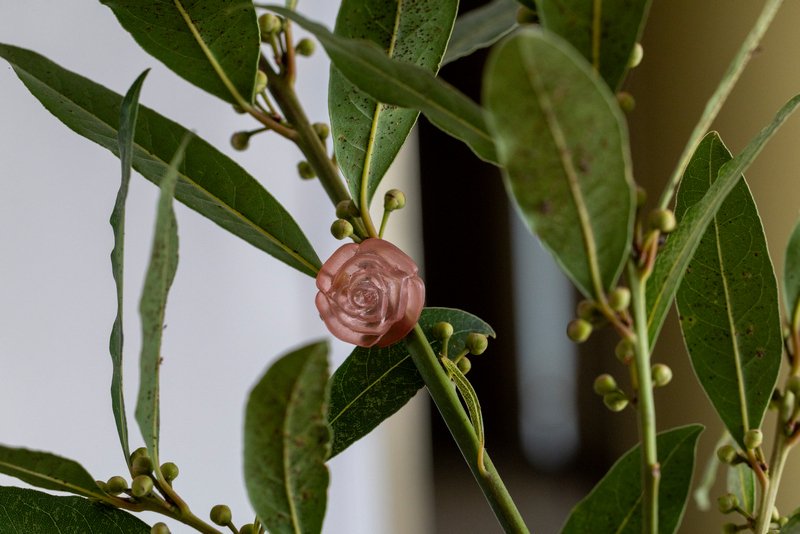 photo de l'actualité