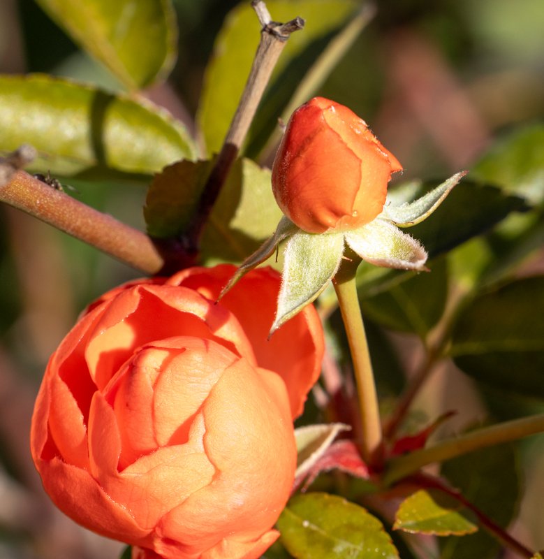 photo de l'actualité