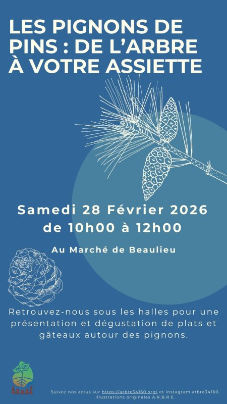 photo de l'actualité