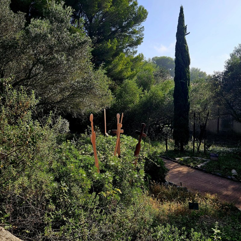 photo de l'actualité