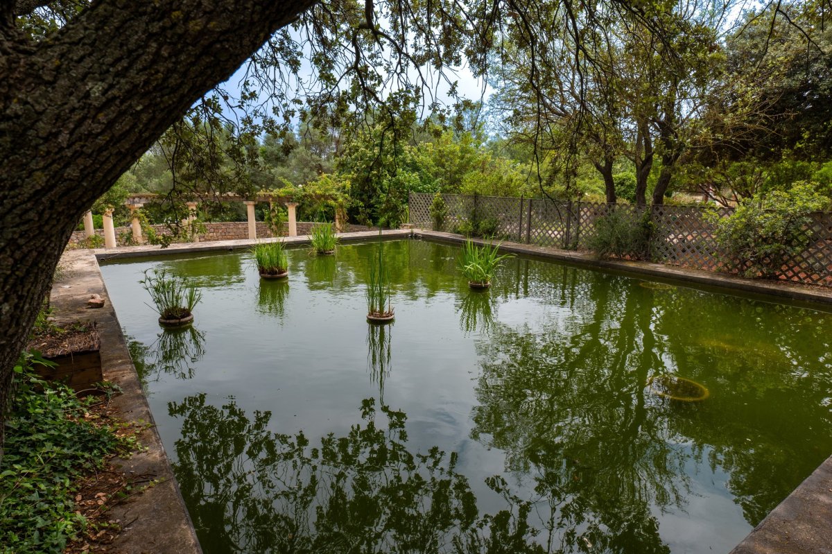 photo de l'actualité