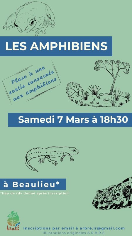 photo de l'actualité