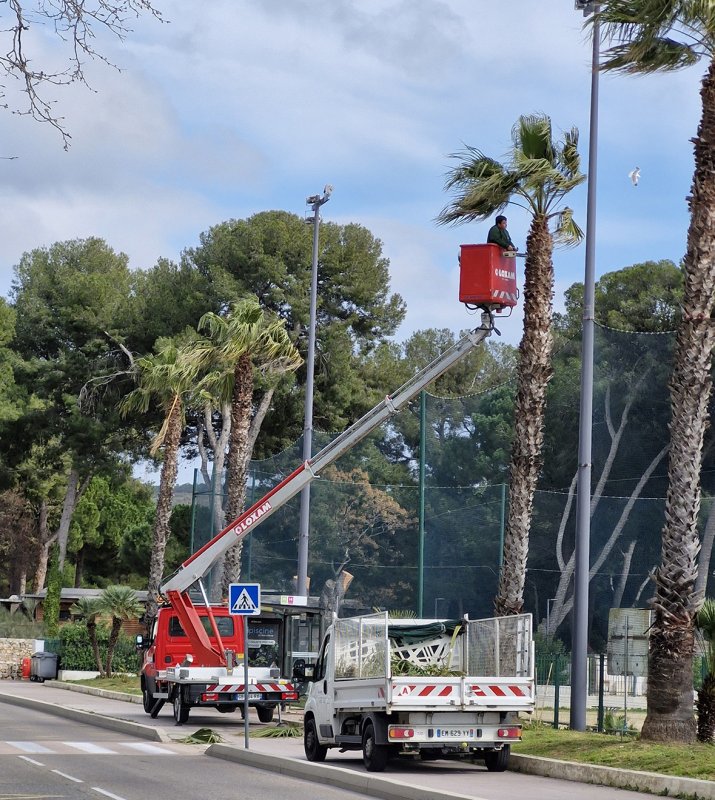 photo de l'actualité