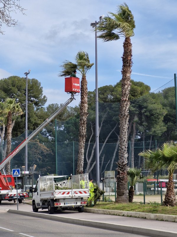 photo de l'actualité