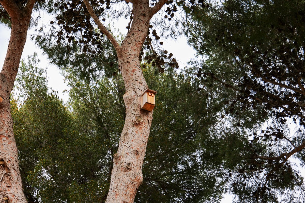 photo de l'actualité