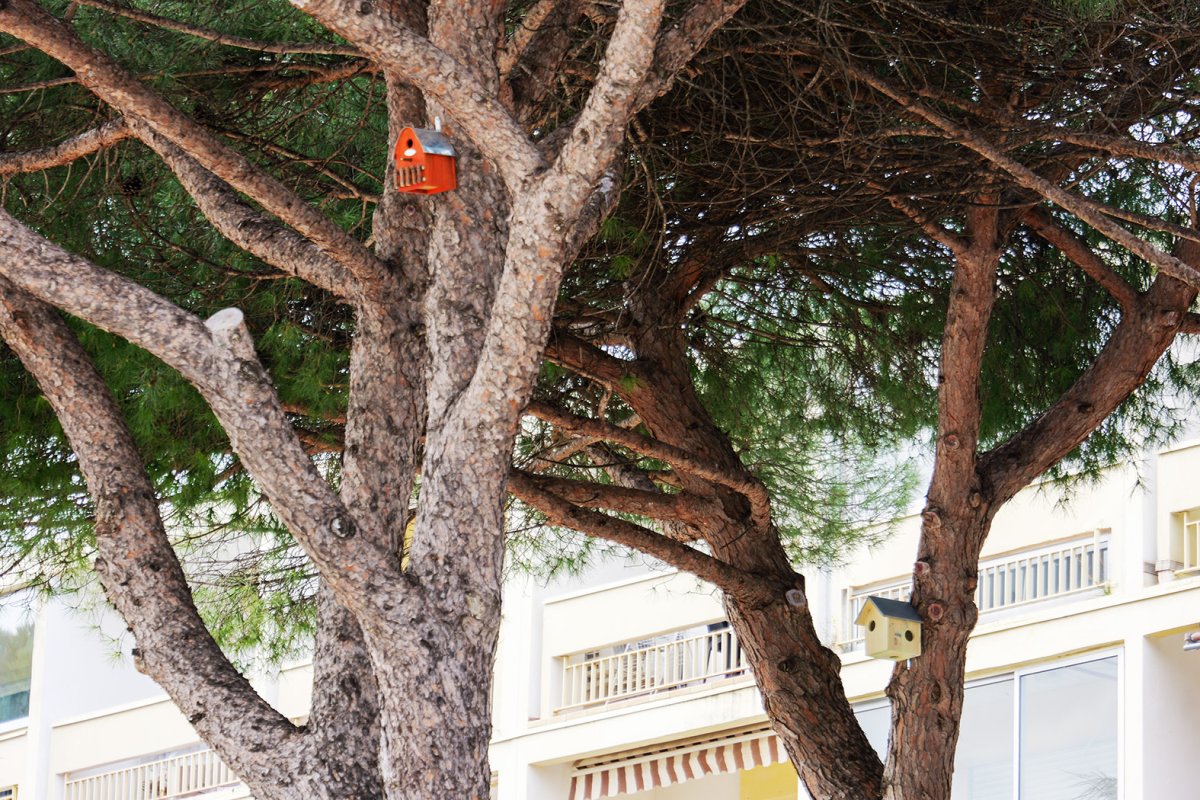 photo de l'actualité