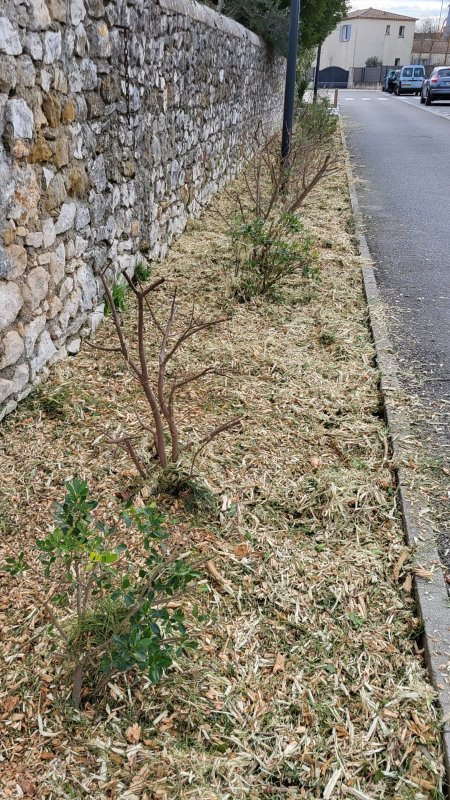 photo de l'actualité